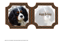 JJ CAVALIER KING CHARLES SPANIEL 5x5 INSERT HAPPY BIRTHDAY