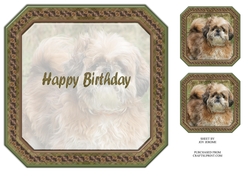 JJ SHIH TZU 8X8 1 INSERT HAPPY BIRTHDAY