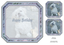  JJ SHIH TZU 8X8 3 INSERT HAPPY BIRTHDAY