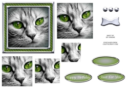 JJ CAT FULL FACE 5X5 6