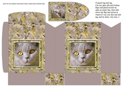 JJ CAT FULL FACE 4 PINCH BAG AND TAG PINCH BAG AND TAG