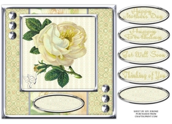  JJ CREAM VINTAGE ROSE 8X8 QUICK CARD