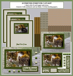 JJ FRIENDS FOREVER CATS KIT