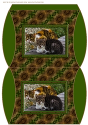 JJ FRIENDS FOREVER CATS PILLOW BOX
