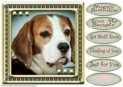JJ LOVE MY DOG 8X8 BEAGLE