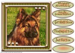 JJ LOVE MY DOG GERMAN SHEPHERD 8X8