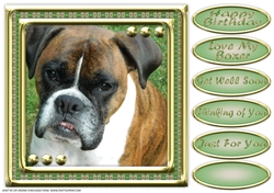 JJ LOVE MY DOG 8X8 BOXER
