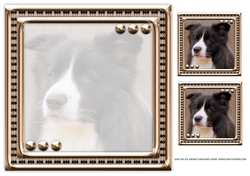 JJ LOVE MY DOG BORDER COLLIE 8X8 INSERT BLANK