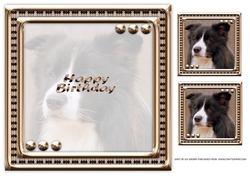 JJ LOVE MY DOG BORDER COLLIE 8X8 INSERT HAPPY BIRTHDAY