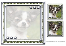 JJ LOVE MY DOG CHIHUAHUA 2 8X8 INSERT BLANK