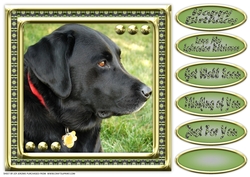 JJ LOVE MY DOG LABRADOR RETRIEVER 8X8 BLACK