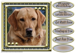 JJ LOVE MY DOG LABRADOR RETRIEVER 8X8 YELLOW