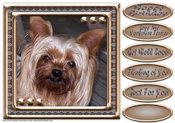 JJ LOVE MY DOG YORKSHIRE TERRIER 8X8