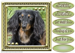 JJ LOVE MY DOG DACHSHUND 8X8
