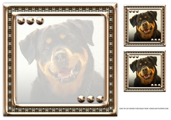 JJ LOVE MY DOG ROTTWEILER 8x8 INSERT BLANK