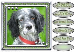 JJ LOVE MY DOG ENGLISH SETTER 8X8