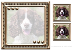 JJ LOVE MY DOG SPRINGER SPANIEL 8X8 INSERT BLANK