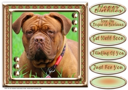JJ LOVE MY DOG DOGUE DE BORDEAUX FRENCH MASTIFF