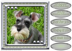 JJ LOVE MY DOG MINIATURE SCHNAUZER 8X8