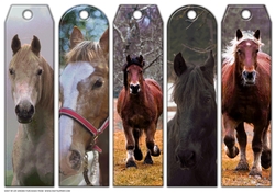JJ ASSORTED BOOKMARKS HORSES