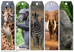 JJ ASSORTED BOOKMARKS AFRICAN ANIMALS