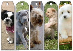 JJ ASSORTED BOOKMARKS PUPPIES