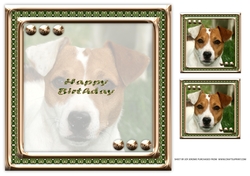  JJ LOVE MY DOG JACK RUSSELL 8X8 INSERT HAPPY BIRTHDAY