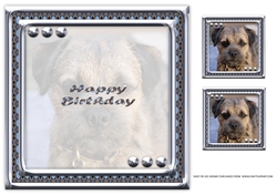 JJ LOVE MY DOG BORDER TERRIER 8X8 INSERT HAPPY BIRTHDAY.