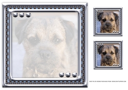 JJ LOVE MY DOG BORDER TERRIER 8X8 INSERT BLANK.