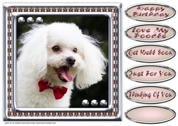 JJ LOVE MY DOG POODLE 8X8
