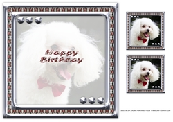 JJ LOVE MY DOG POODLE 8X8 INSERT HAPPY BIRTHDAY