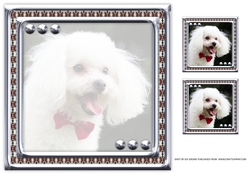  JJ LOVE MY DOG POODLE 8X8 INSERT BLANK