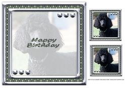 JJ LOVE MY DOG POODLE 2 8X8 INSERT HAPPY BIRTHDAY