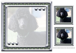 JJ LOVE MY DOG POODLE 2 8X8 INSERT BLANK
