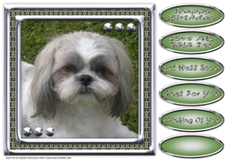 JJ LOVE MY DOG SHIH TZU 8X8