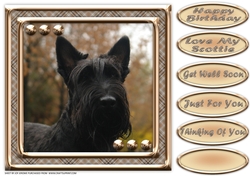 JJ LOVE MY DOG SCOTTISH TERRIER 8X8