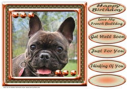 JJ LOVE MY DOG FRENCH BULLDOG 8X8