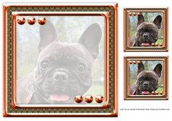 JJ LOVE MY DOG FRENCH BULLDOG 8X8 INSERT BLANK
