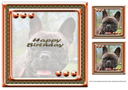 JJ LOVE MY DOG FRENCH BULLDOG 8X8 INSERT HAPPY BIRTHDAY