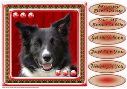 JJ LOVE MY DOG BORDER COLLIE 2 8X8