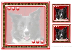 JJ LOVE MY DOG BORDER COLLIE 2 8X8 NSERT BLANK
