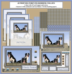 JJ FRIENDS FOREVER BORDER COLLIES KIT