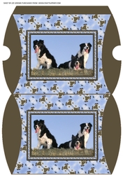 JJ FRIENDS FOREVER BORDER COLLIES PILLOW BOX