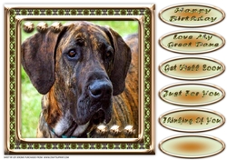 JJ LOVE MY DOG GREAT DANE 8X8