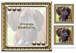 JJ LOVE MY DOG GREAT DANE 8X8 INSERT HAPPY BIRTHDAY.