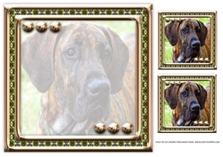 JJ LOVE MY DOG GREAT DANE 8X8 INSERT BLANK