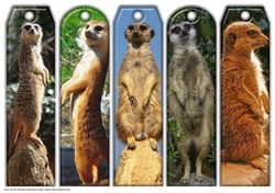 JJ ASSORTED BOOKMARKS MEERKATS