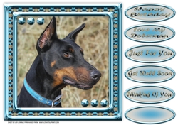 JJ LOVE MY DOG DOBERMAN 2 8X8