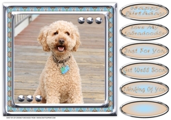 JJ LOVE MY DOG LABRADOODLE 8X8