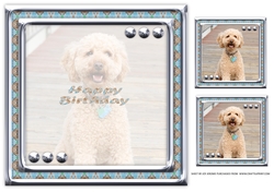 JJ LOVE MY DOG LABRADOODLE 8X8 INSERT HAPPY BIRTHDAY
